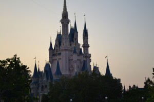 walt disney world