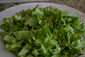 vegetarian taco salad