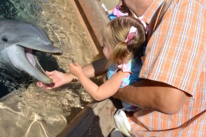sea world