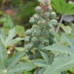 Problem 6: What the heck is this thing?! Does anyone know?