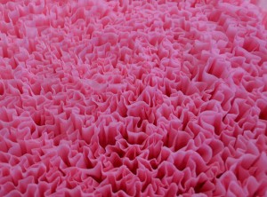 crepe paper ruffles