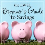 The Beginner’s Guide to Savings {Week 8}: Make More Money Image