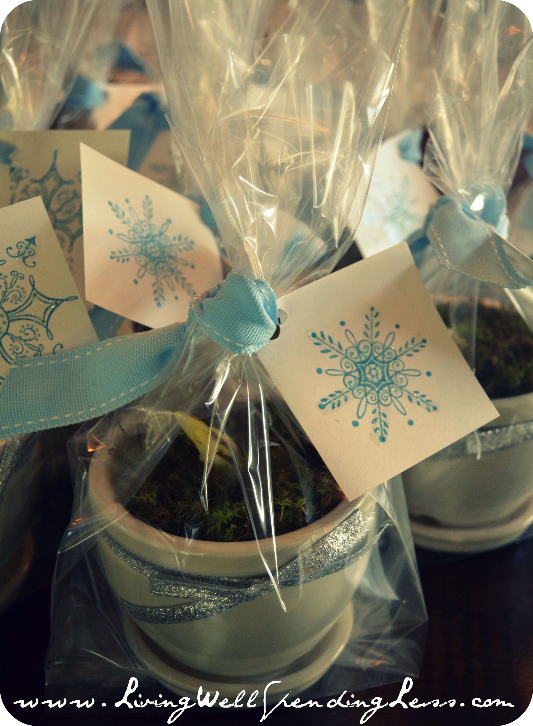 handmade holiday gifts potted paperwhite bulb {group gift}