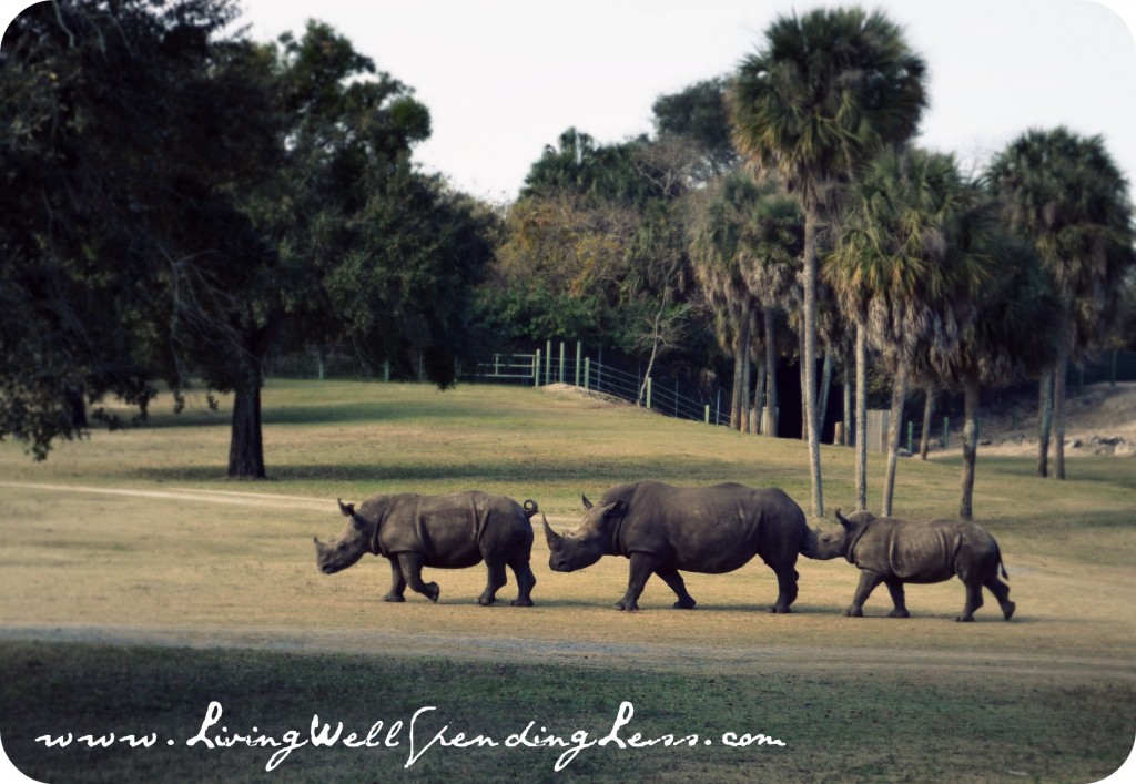 BuschGardens05