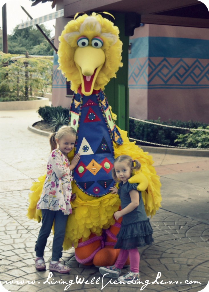 BuschGardens06