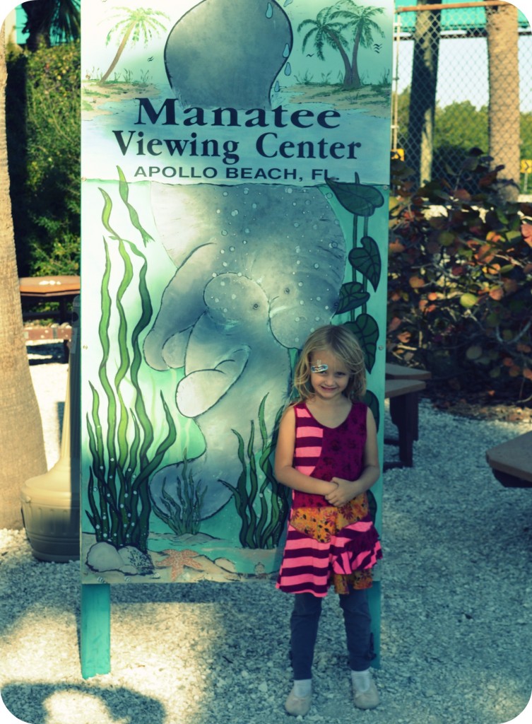 manateeroadtrip06