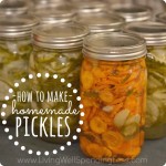 How to Make Homemade Pickles {Tutorial} Image
