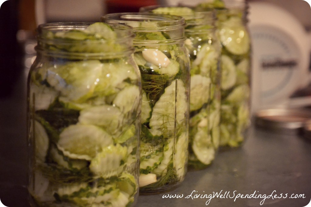 yummy-homemade-pickles-how-to