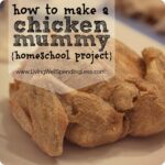 the chicken mummy {the grossest thing we’ve ever done} Image