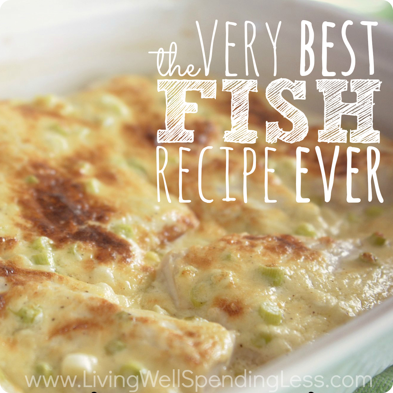 The Very Best Fish Recipe Ever Easy Broiled Fish Recipe