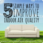5 Simple Ways to Improve Indoor Air Quality Image