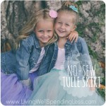 No-Sew Super Full Tulle Skirt {DiY} Image
