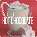 White Peppermint Hot Chocolate Image