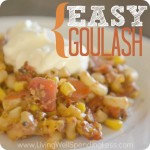 Easy Goulash Image