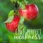 Imperfect Weakness Image