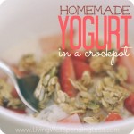 How to Make Homemade Yogurt Image