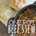 One Pot Beef Stew Image