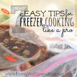 7 Easy Tips for Freezer Cooking Like a Pro Image