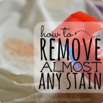 How to Remove (Almost) Any Stain Image