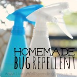Homemade Bug Repellent Image