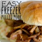 Easy Freezer Pulled Pork Image
