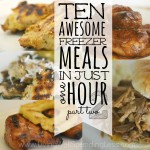 10 Freezer Meals in One Hour 2 Image