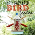 Easy DIY Bird Feeder Image