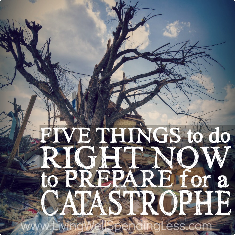 Catastrophe survival tips OZalots HQ