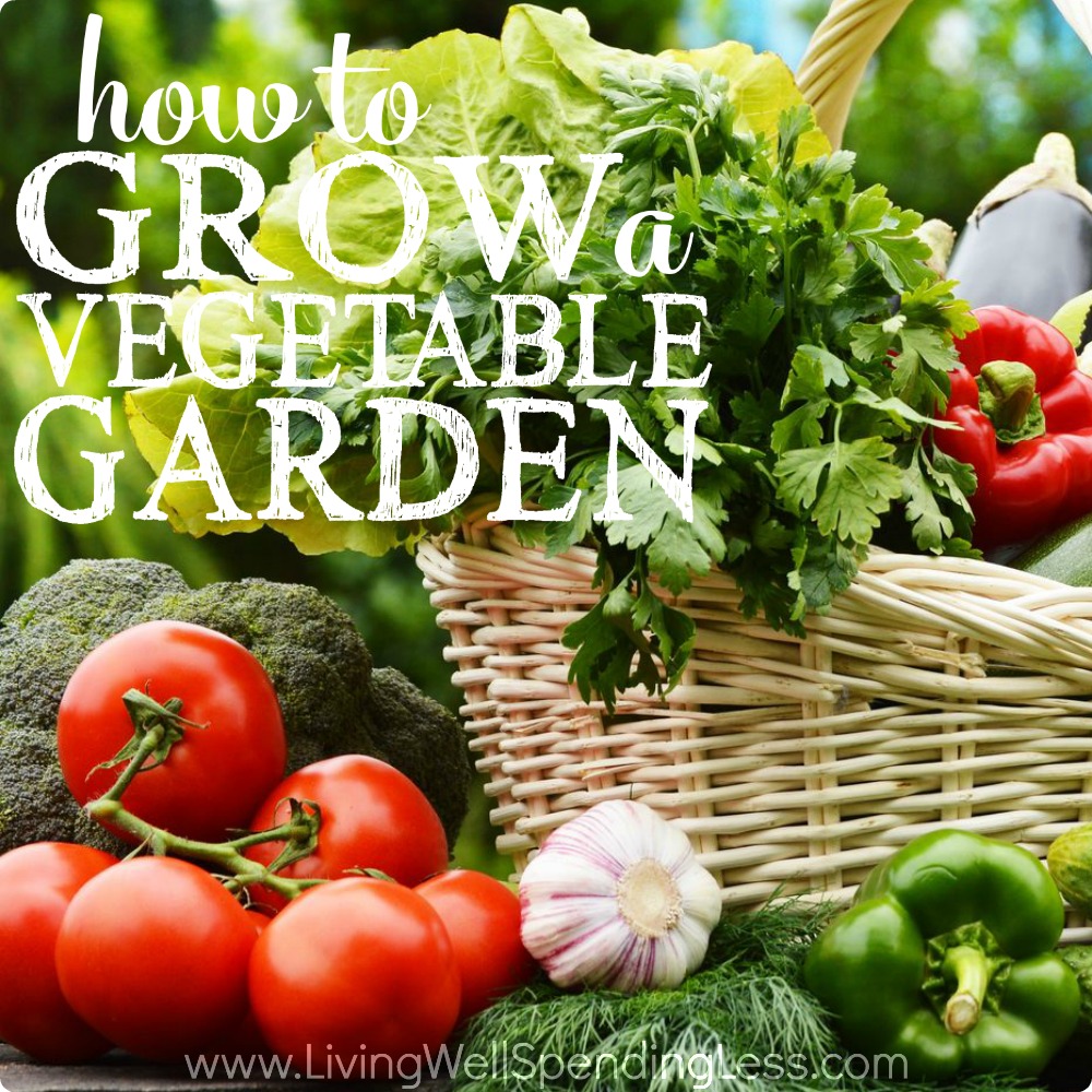 How to Grow a Vegetable Garden Gardening Tips for Brown Thumbs