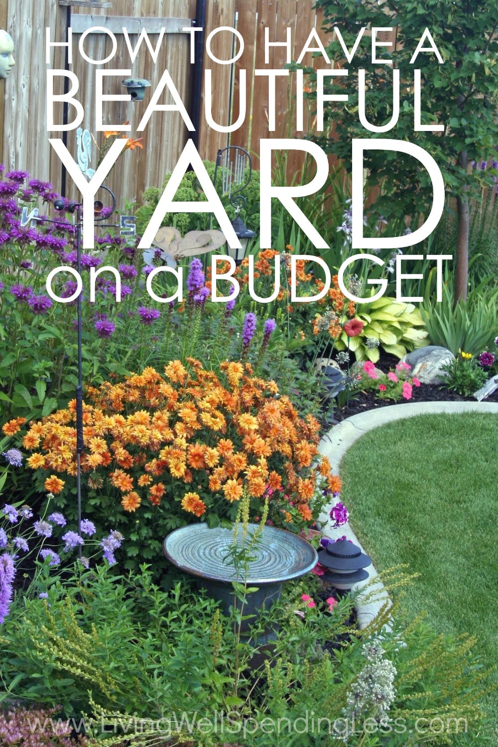How to Have a Beautiful Yard on a Budget