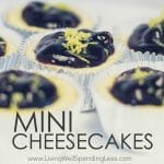 cheesecakes-square