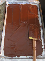 Spread melted chocolate evenly onto cookie sheet.