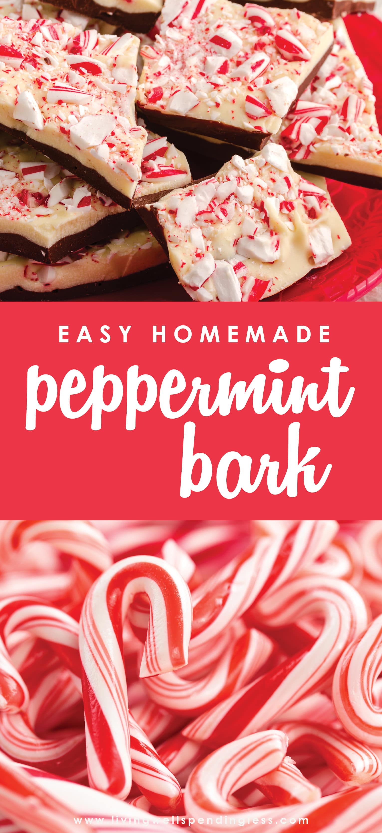 Looking for a sweet holiday treat to give that won't take all day? This homemade peppermint bark is easy to make and the perfect holiday gift!
Homemade Peppermint Bark | Peppermint Bark Recipe | Easy Chocolate Peppermint Bark | DIY Holiday Gift Ideas | Holiday Peppermint Bark