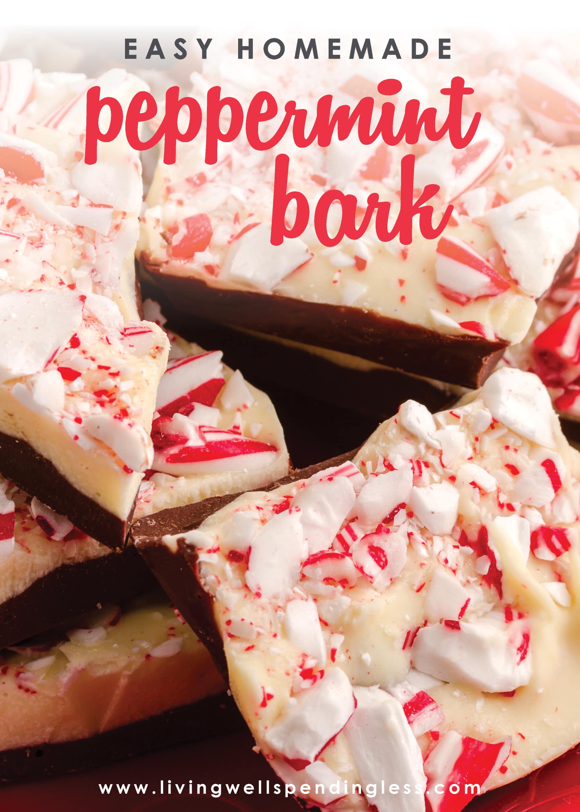 Looking for a sweet holiday treat to give that won't take all day? This homemade peppermint bark is easy to make and the perfect holiday gift! 