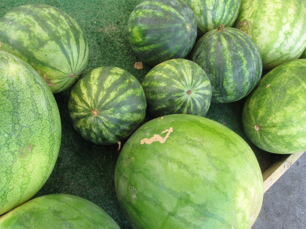 Watermelon is a great fruit for the hot summer season. 