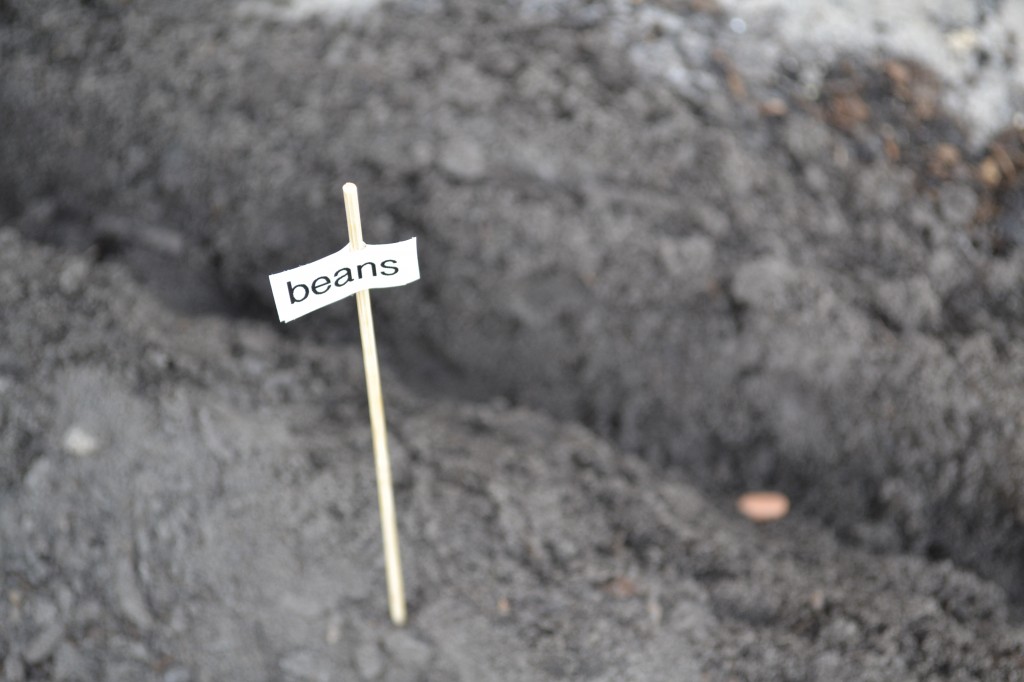 Planting Our First Garden - Living Well Spending Less®