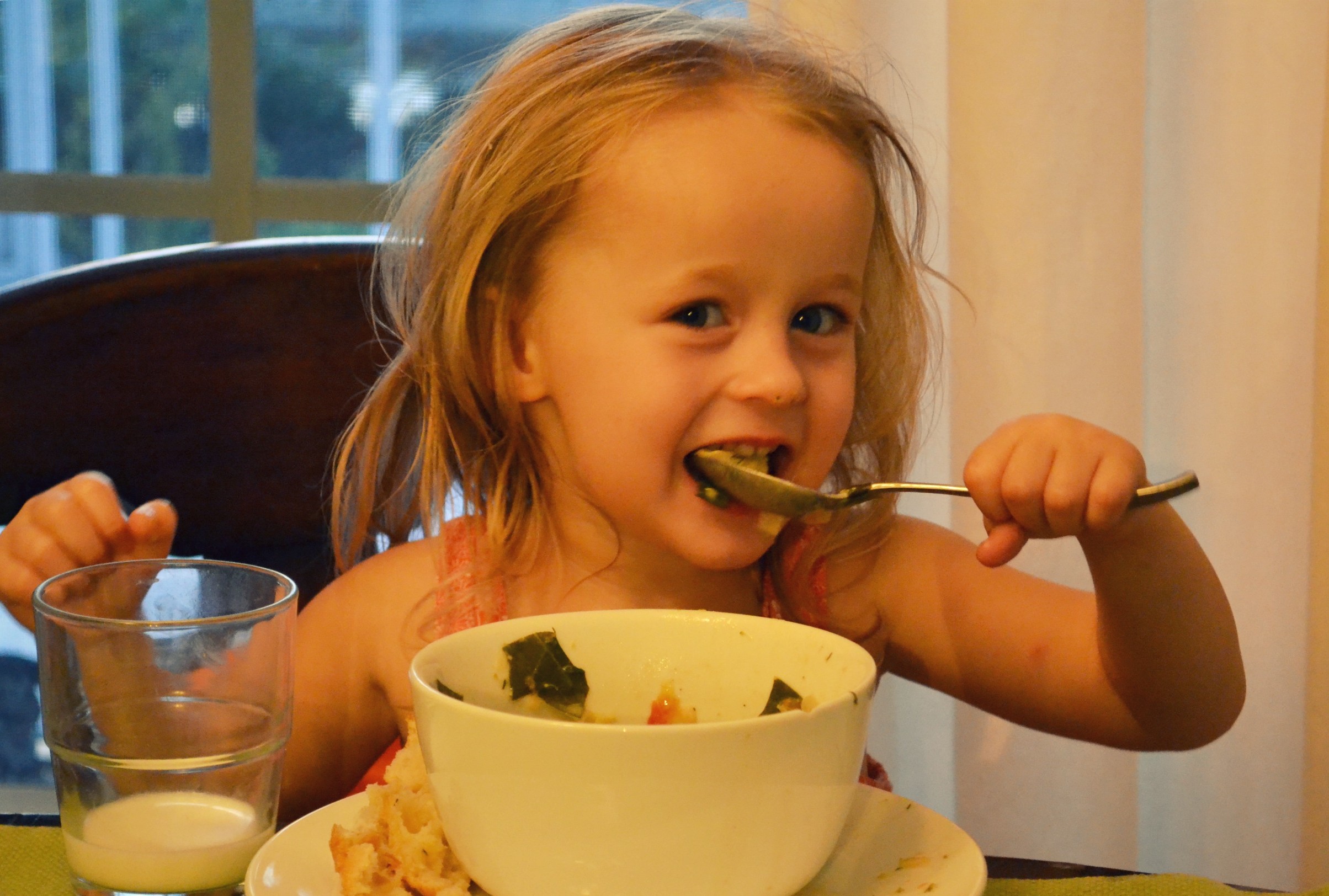 Creamy Dill Vegetable Soup Recipe How to Make Vegetable Soup