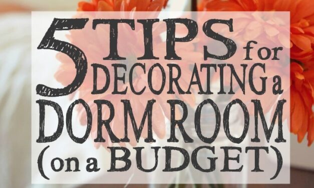 5 Tips for Decorating a Dorm Room (on a Budget)