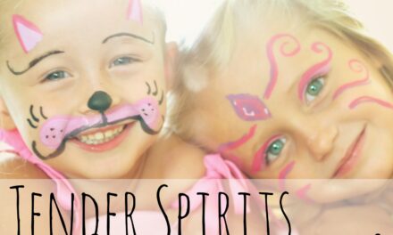 Tender Spirits: Why We Decided to Homeschool