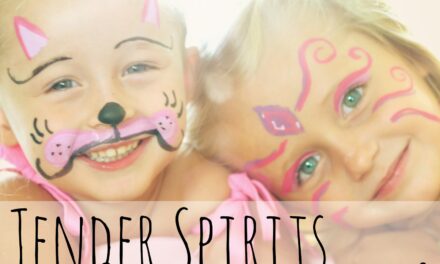Tender Spirits: Why We Decided to Homeschool