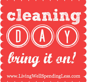 Cleaning Day {Day 9}