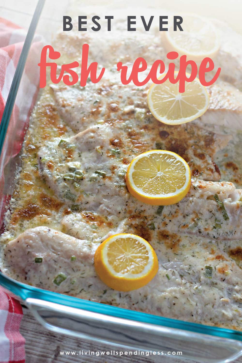 Need some inspiration to try something new for dinner? This foolproof recipe is not only amazingly delicious, it works with almost any type of fish! The Very Best Fish Recipe Ever | Easy Broiled Fish Recipe | Easy Fish Recipe | Best Fish Recipe | Creamy Parmesan Fish Recipe