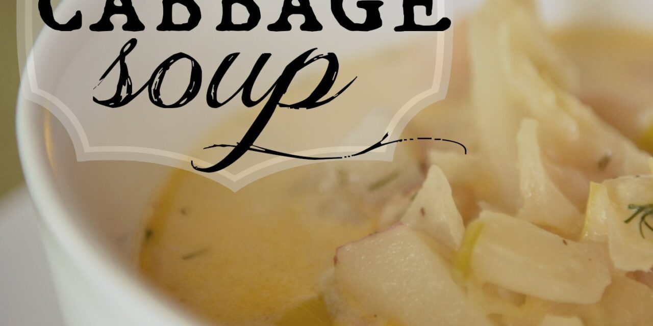 Cream of Cabbage Soup Cabbage Soup Cream of Cabbage Cream of