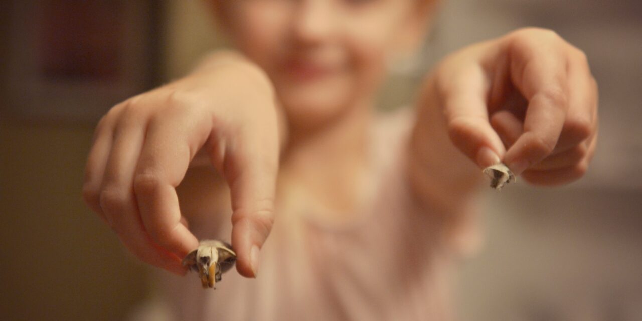 How to Dissect an Owl Pellet