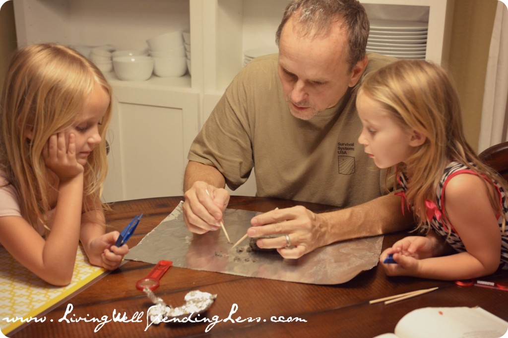 There is a lot to learn from owl pellets!