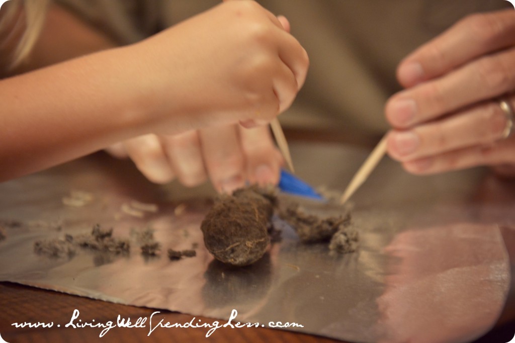 Who knew owl pellets contain so much information?!