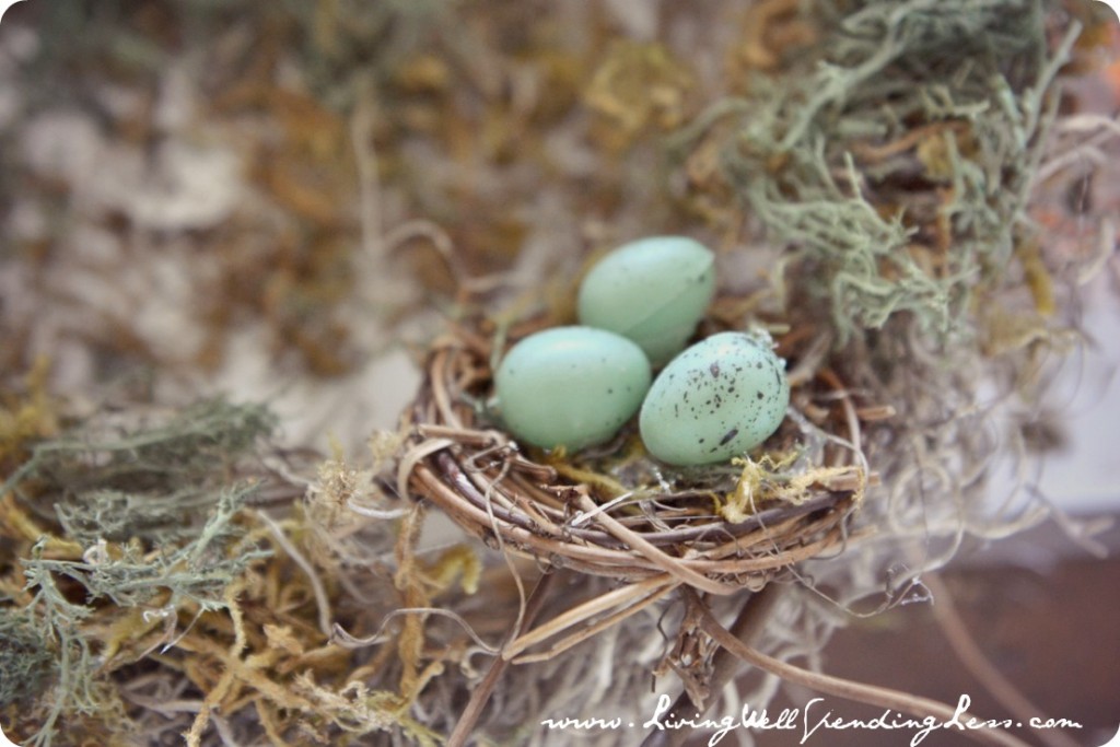 Glue small amount of green floral moss in center of bird nests.