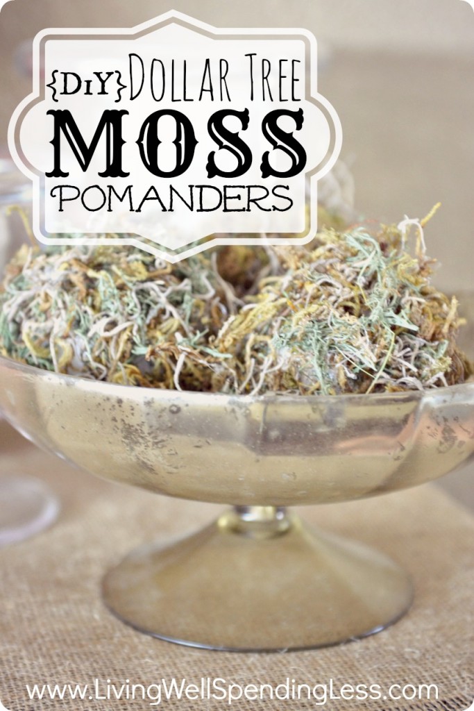 Dollar tree moss pomanders make for great decoration. 
