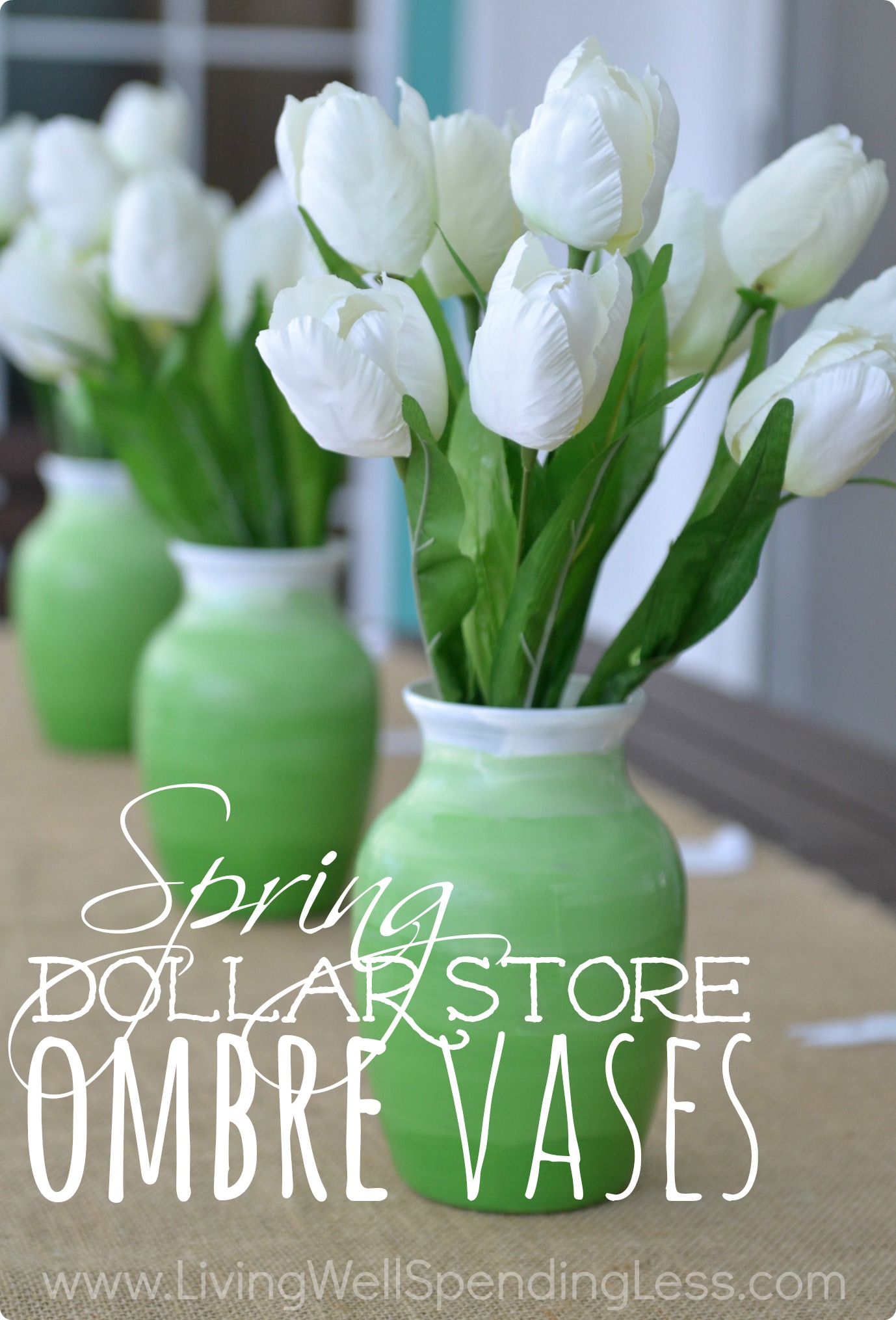 Dollar Store DIY Ombre Vases Living Well Spending Less®