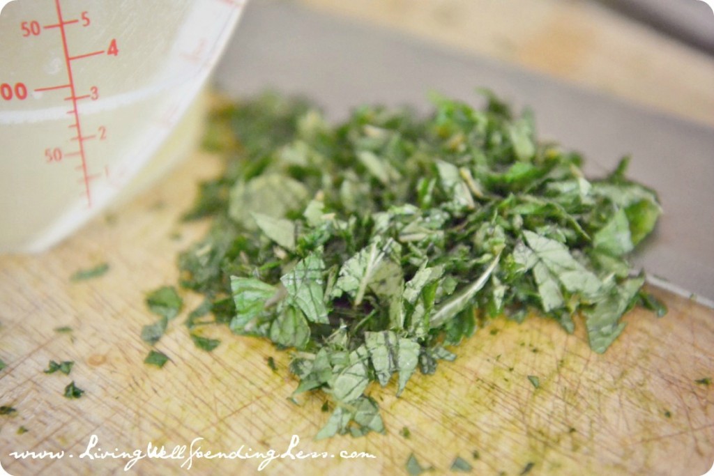 Finely chop mint leaves with sharp knife.